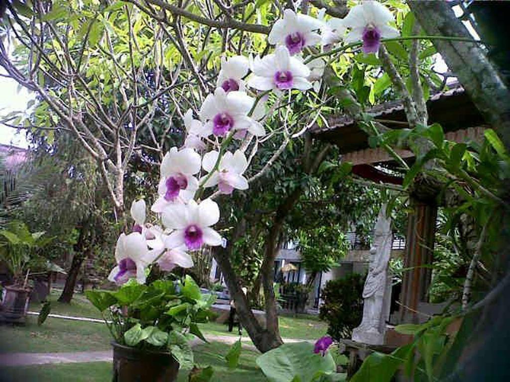 Puri Maharani Boutique Hotel Денпасар Екстериор снимка